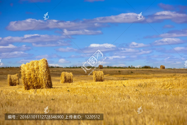 金strawbales