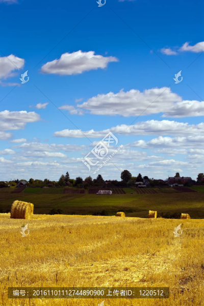 夏天的風(fēng)景
