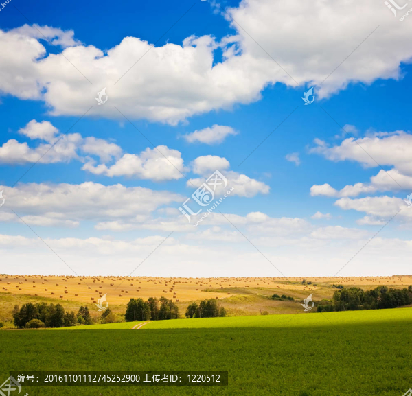 夏天的風(fēng)景
