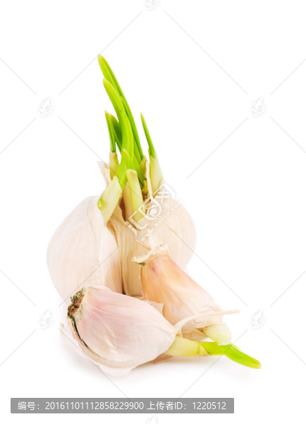 大蒜