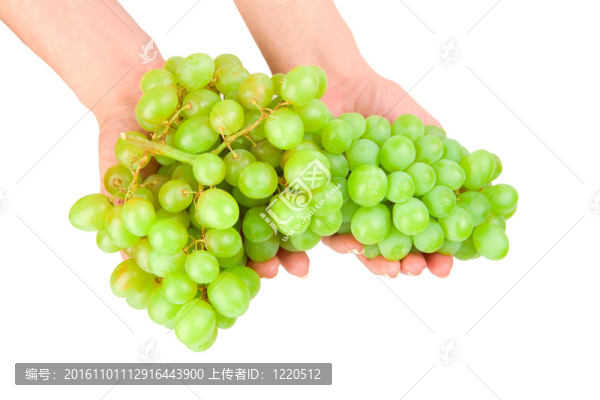 手上的葡萄