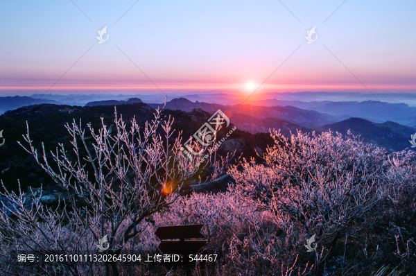 霧凇日出