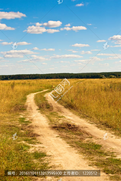 草原鄉(xiāng)村公路