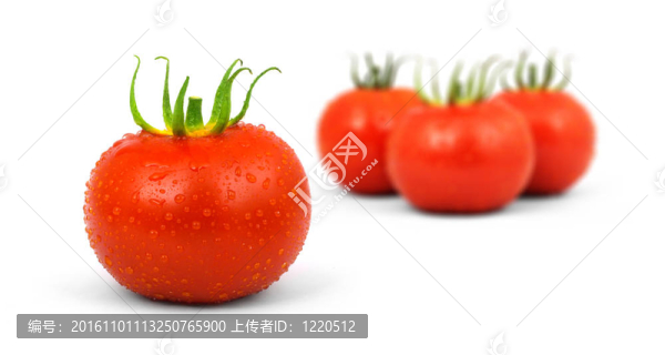 西紅柿
