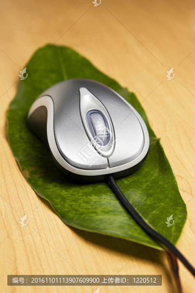 葉子上的電腦鼠標(biāo)