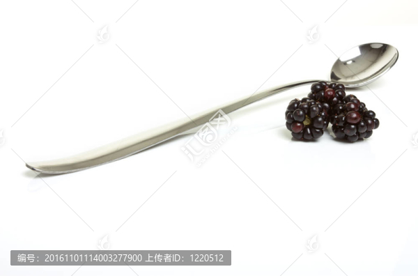 野生黑莓