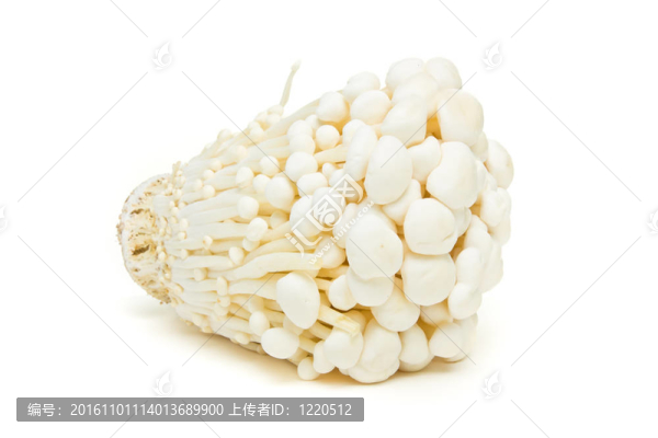 金針菇