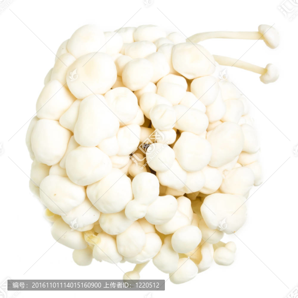 金針菇