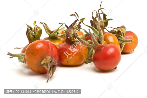 野玫瑰果