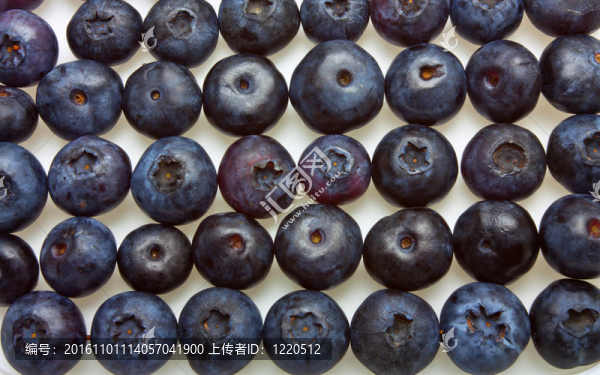 藍莓
