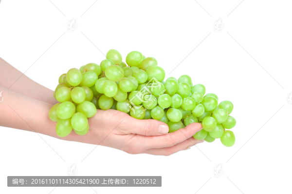 手上的葡萄簇