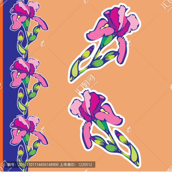 鳶尾花。