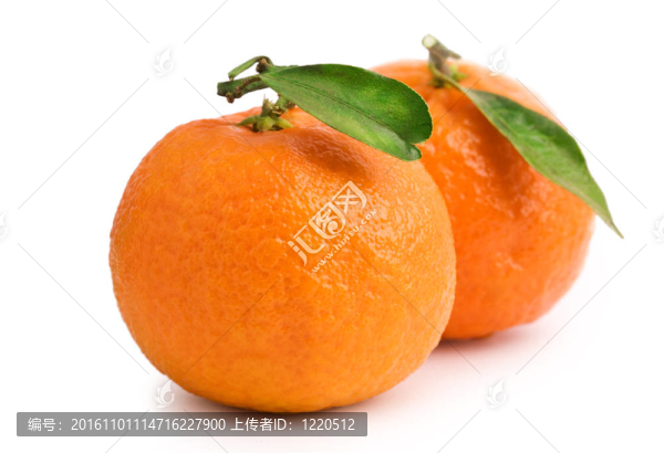 Tangerine夜店兩葉