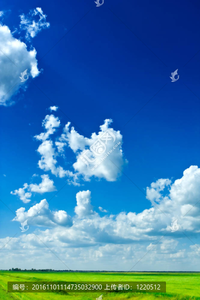 草地和天空