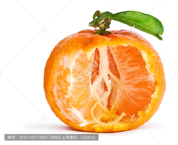 Tangerine夜店與葉分離