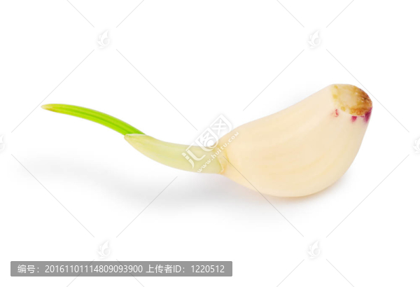 部分大蒜