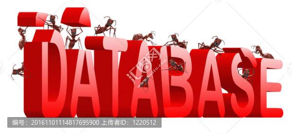 建立數(shù)據(jù)庫
