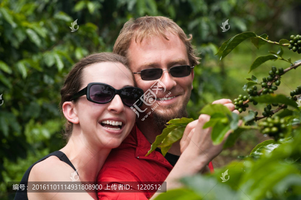 美國和歐洲夫婦在哥斯達黎加咖啡種植園