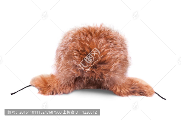 護(hù)耳Fox帽