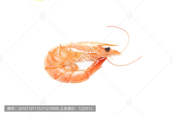 煮蝦