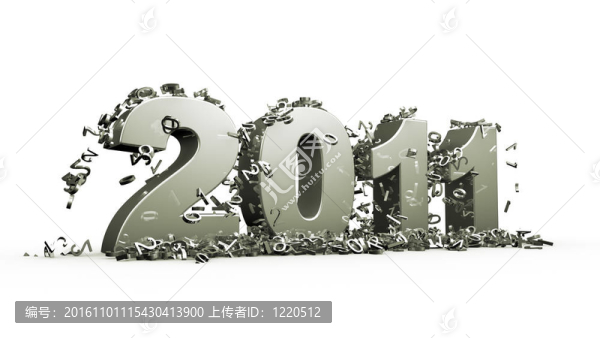新的一年2011