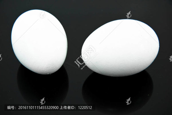 黑色背景下的雞蛋