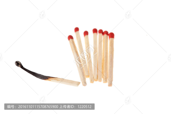 欺凌的象征；野人；平等