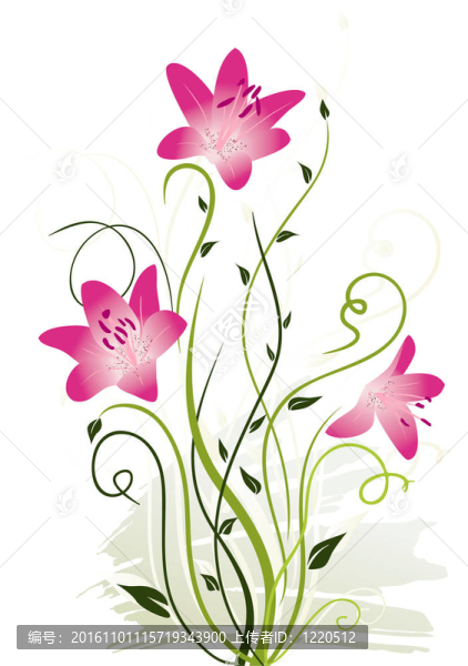 摘要花卉元素
