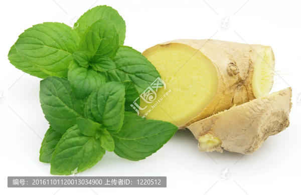 生姜薄荷
