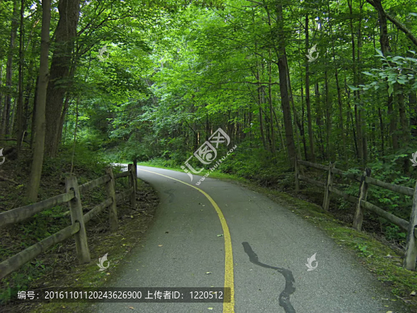 登山步道