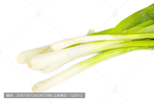 白色洋蔥頭