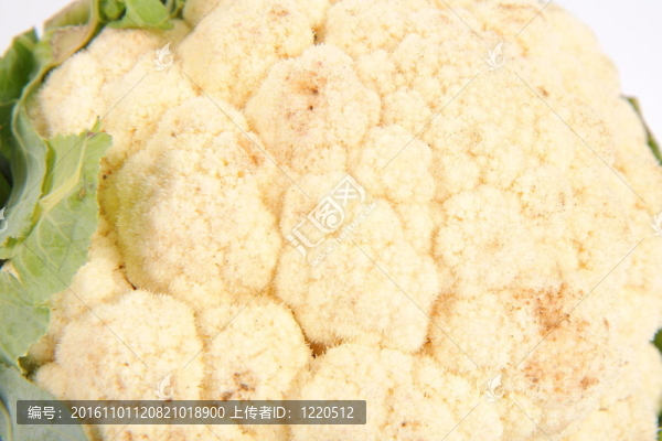 菜花