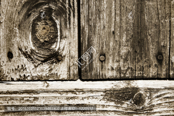老木的背景-匯圖網(wǎng) www.fosd68.com 老木的背景