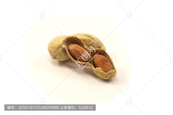 花生殼