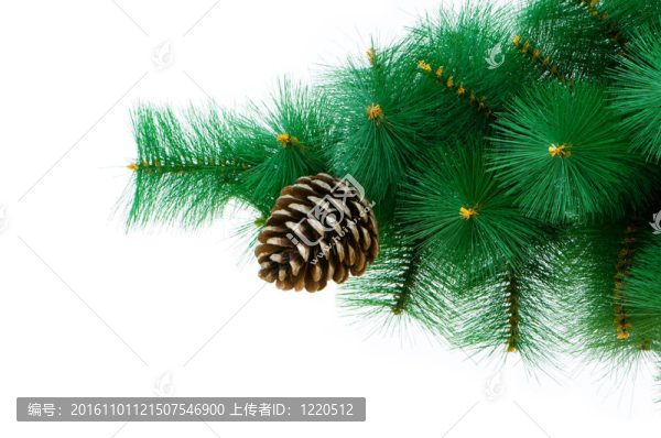 白色背景下的圣誕樹(shù)