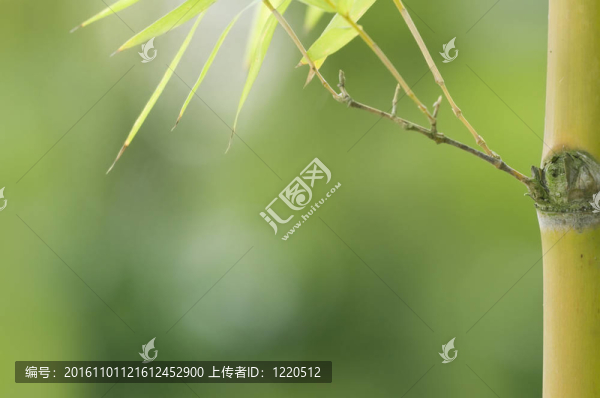 與分隔開的左竹