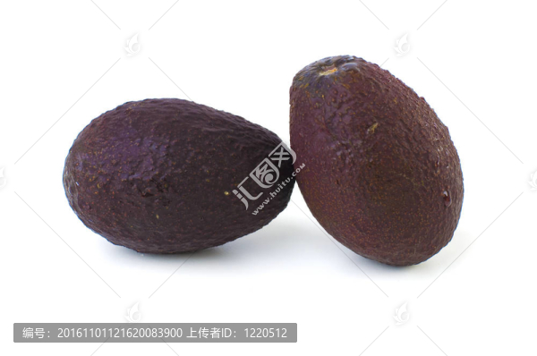 孤立的鱷梨果實