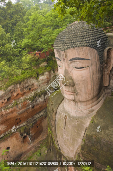 樂山大佛；中國