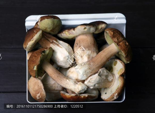 美味的采蘑菇