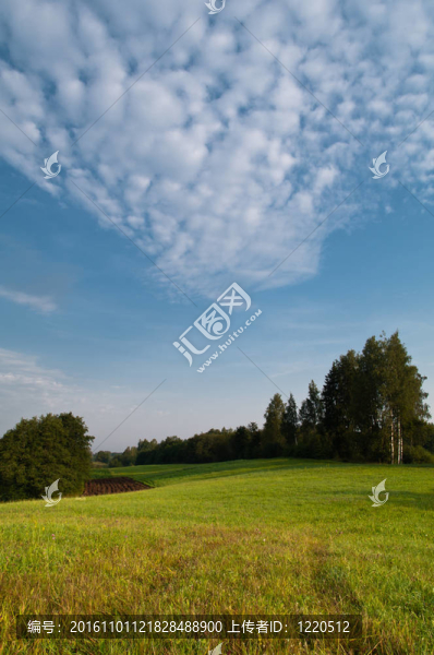 云景在草地