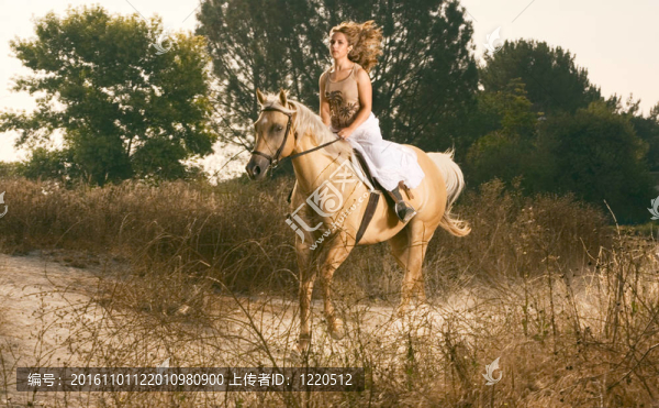 年輕女子賽馬（運動模糊）