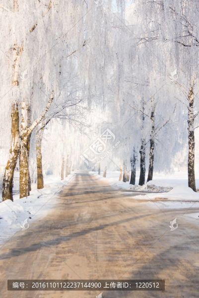 雪地里