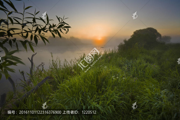 黎明在河上的霧。