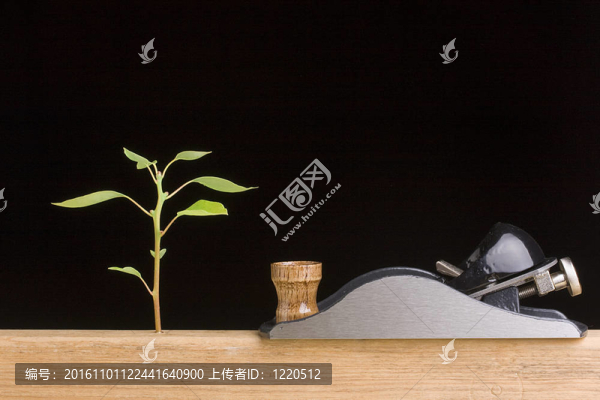 森林砍伐