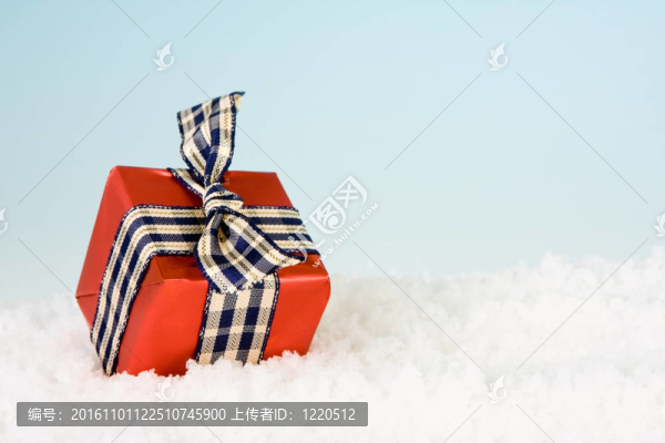 圣誕禮物