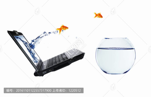 金魚和筆記本