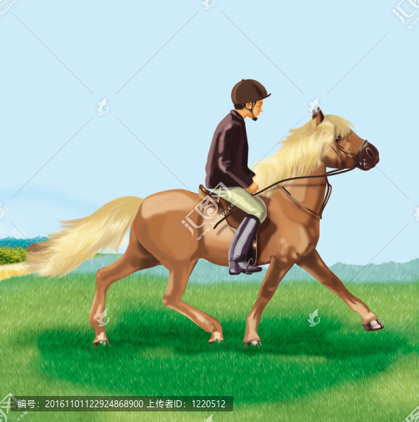 盛裝舞步馬小跑