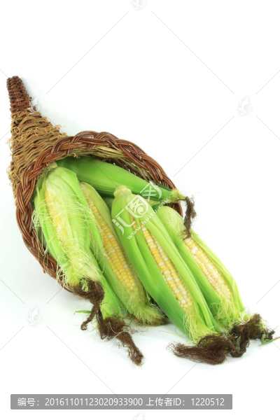 籃子里的玉米穗。