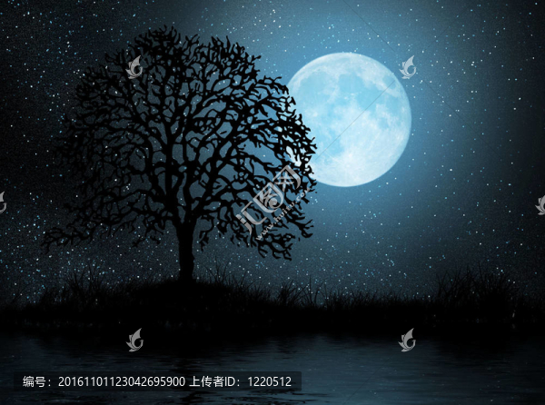 Moon和樹