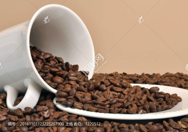 灑豆